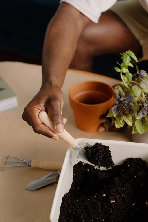 How to Start a Small Herb Garden Indoors for Fresh Flavours All Year